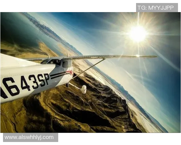 深圳极限运动队与南京极限运动队赛后状态分析与总结