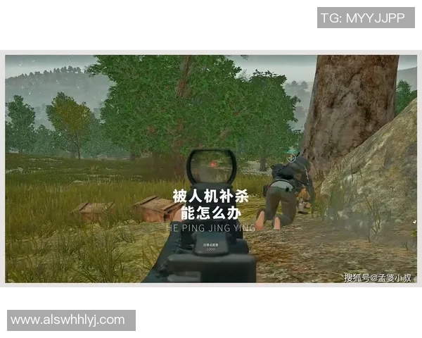 和平精英评论：EDG在比赛中的表现分析与整体压制效果探讨