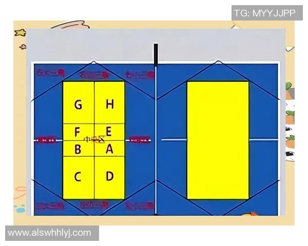 杨娜独家分享网球心得与技巧助你提升球技的秘诀与经验