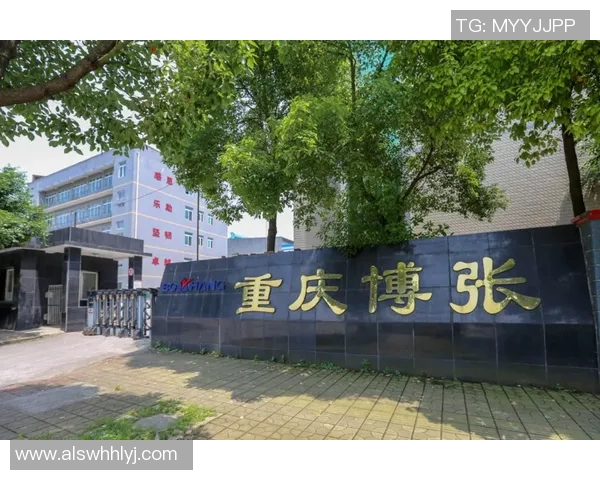 重庆篮球队整体压制革新之路探索与未来展望